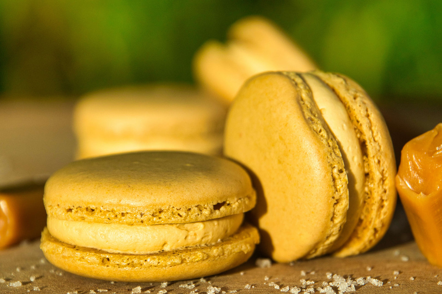 Macarons (Sans Gluten)