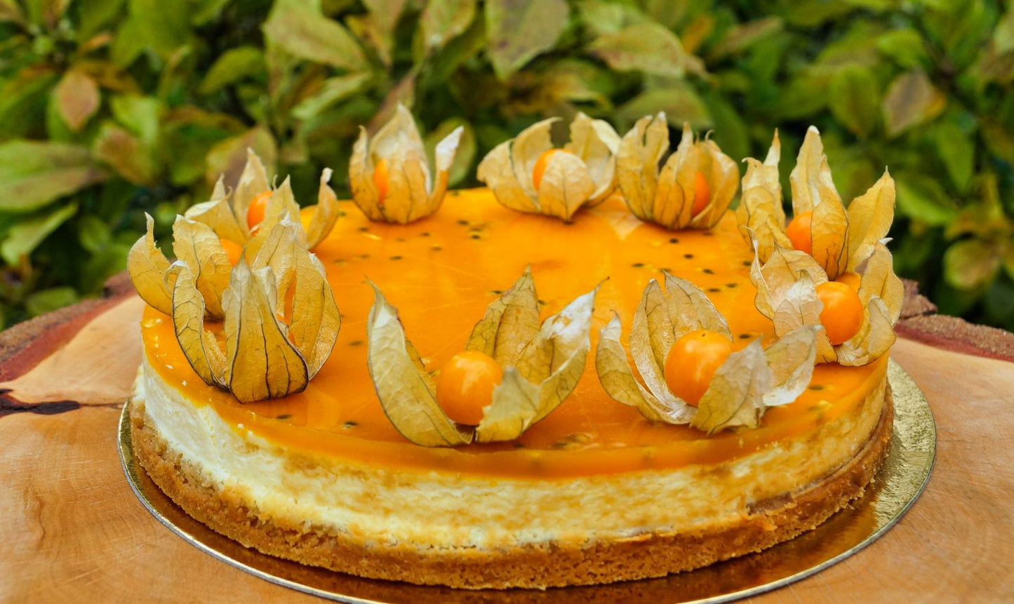 Gâteau au fromage